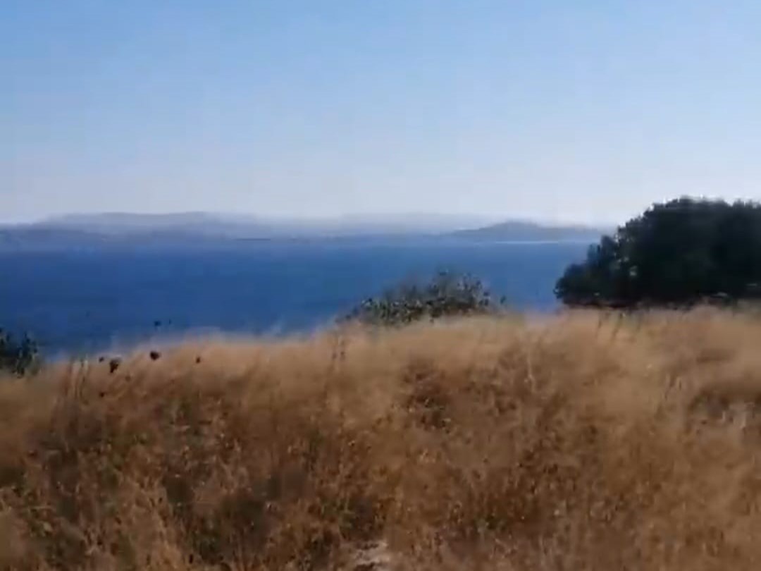 Çınar Gayrimenkul